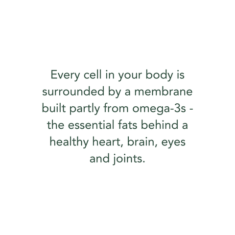 Omega 3