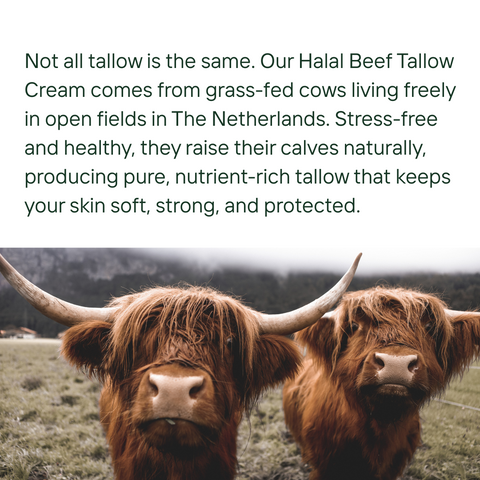 Halal Beef Tallow Cream