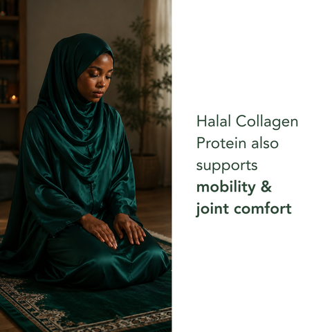 Halal Collagen Protein