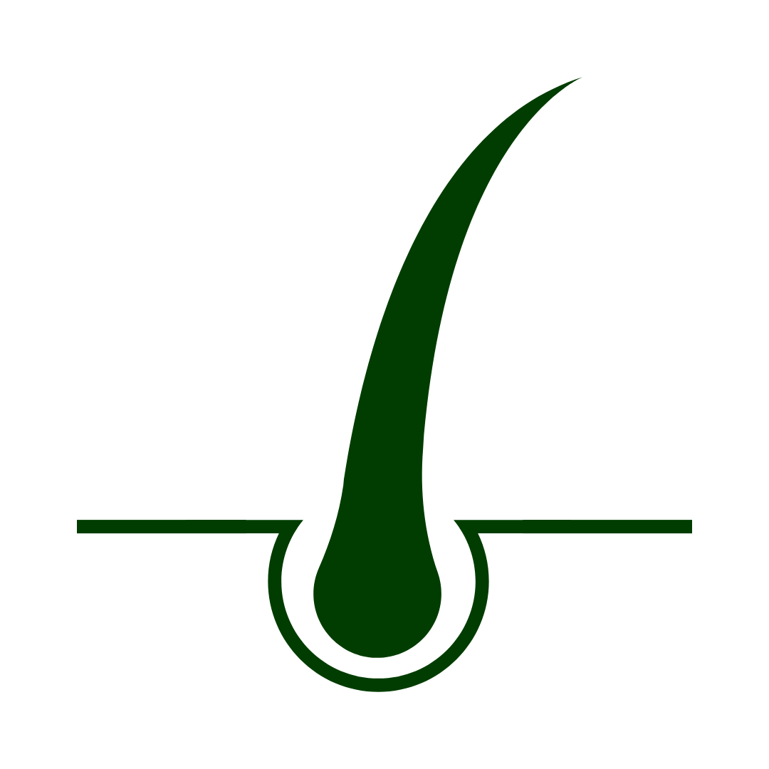 Description1
